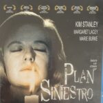 Plan siniestro