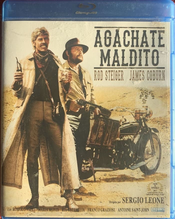 IMG_3807 AGACHATE MALDITO - Imagen 1