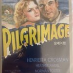 PILGRIMAGE / Peregrinos