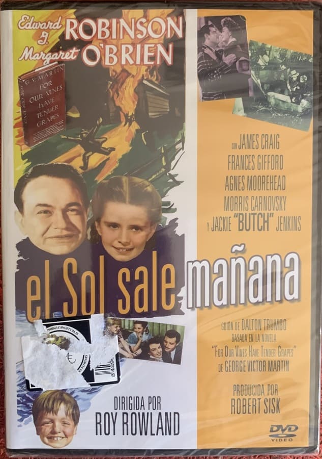 IMG_5541 EL SOL SALE MAÑANA - Imagen 1