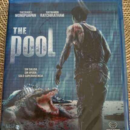 THE POOL