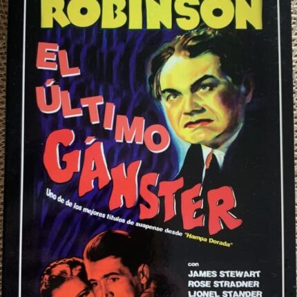 EL ULTIMO GANGSTER