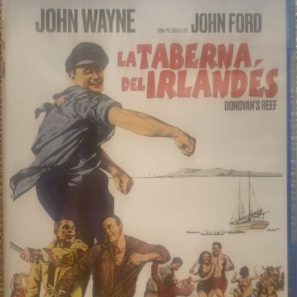 LA TABERNA DEL IRLANDES