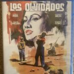 Los olvidados