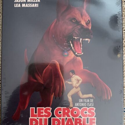 El perro