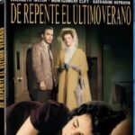 DE REPENTE EL ULTIMO VERANO