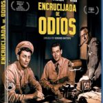 ENCRUCIJADA DE ODIOS