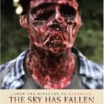 THE SKY HAS FALLEN