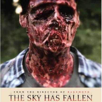 THE SKY HAS FALLEN
